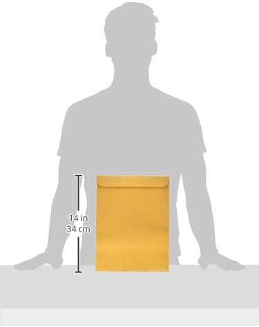 Quality Park 10 x 13 Catalog Envelopes with Self Seal Closure, 28 lb Brown Kraft, Great Option for Mailing, Storage and Organizing, 100 per Box (44762)