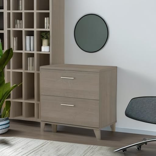 Bush Furniture Somerset 2 Drawer Lateral File Cabinet in Ash Gray