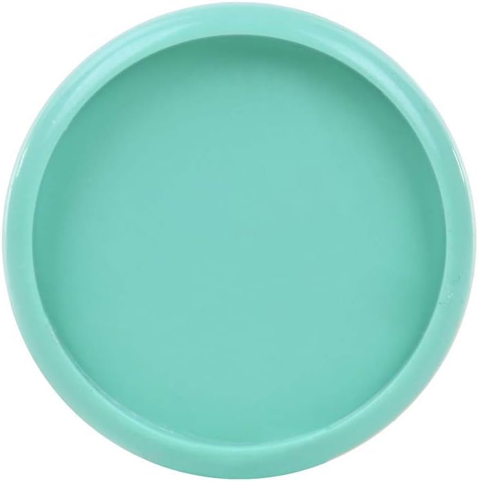 Talia Discbound Notebooks, Planner, Customizable, (Sage Green w/Sage Green Discs, Letter (8.5in x 11in))