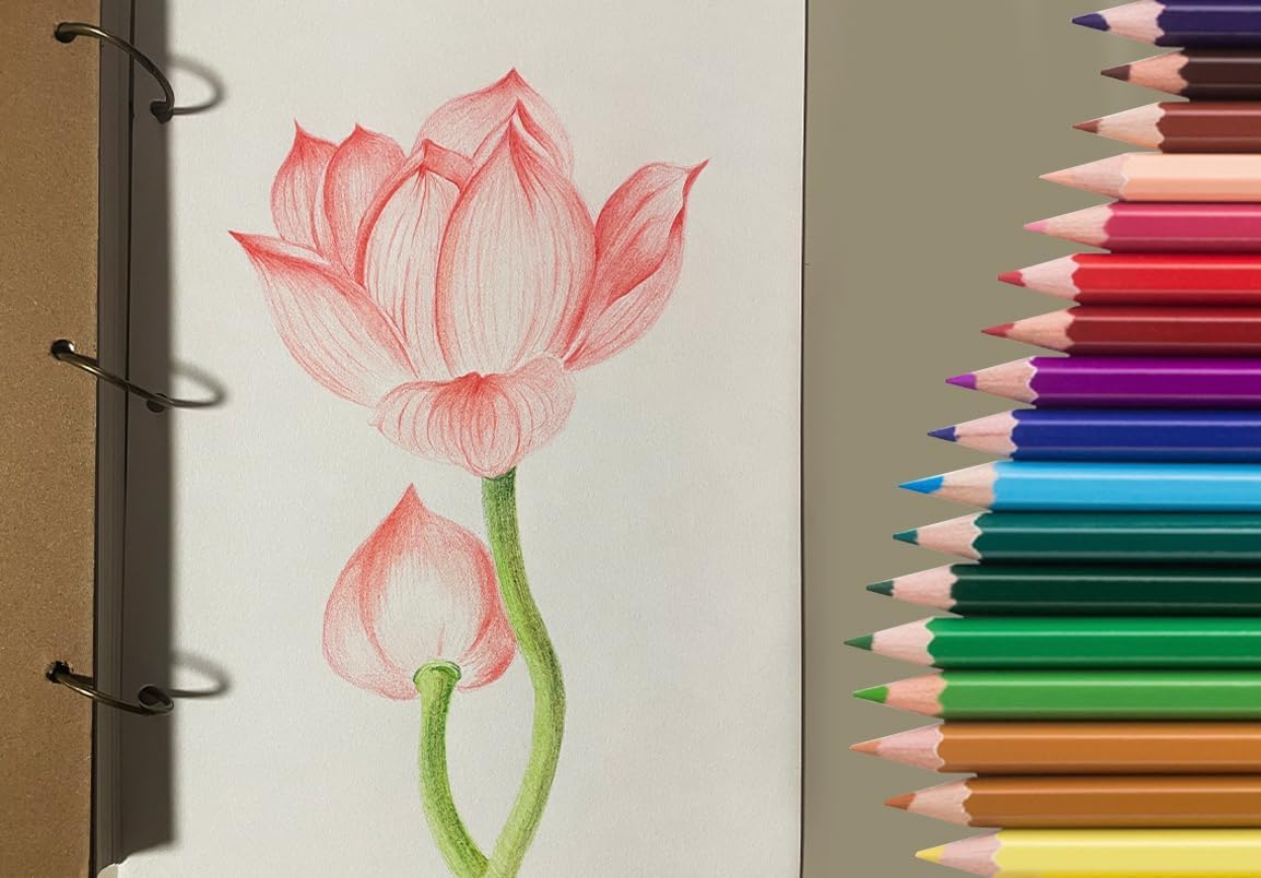 SKKSTATIONERY 50Pcs Colored Pencils,50 Vibrant Colors, Drawing Pencils for Sketch, Arts, Coloring Books, Back to school Christmas Halloween Gifts