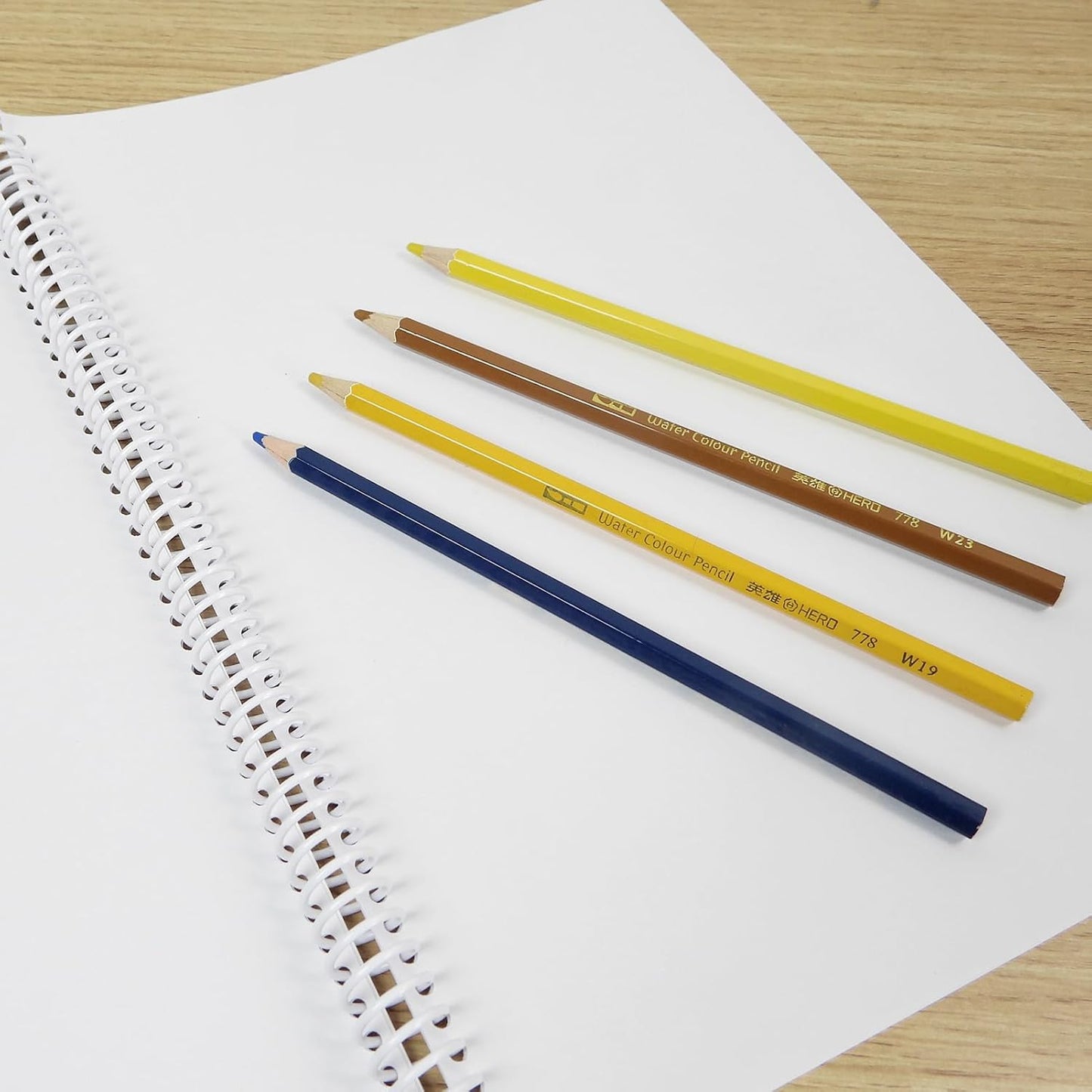 Rayson 1/2" Plastic Spiral Binding Coil, 95 Sheets Capacity, 4:1 Pitch 12.7mm White Coil Binding Spines for Business and Educational Purposes, Pack of 100