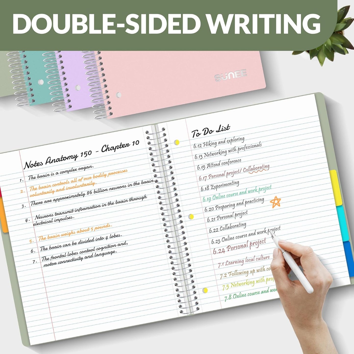 SUNEE 5 Subject Notebook College Ruled - 400 Pages, 9"x11", 5 Pocket Colored Dividers, 3-Hole Punched Paper, Sage Green