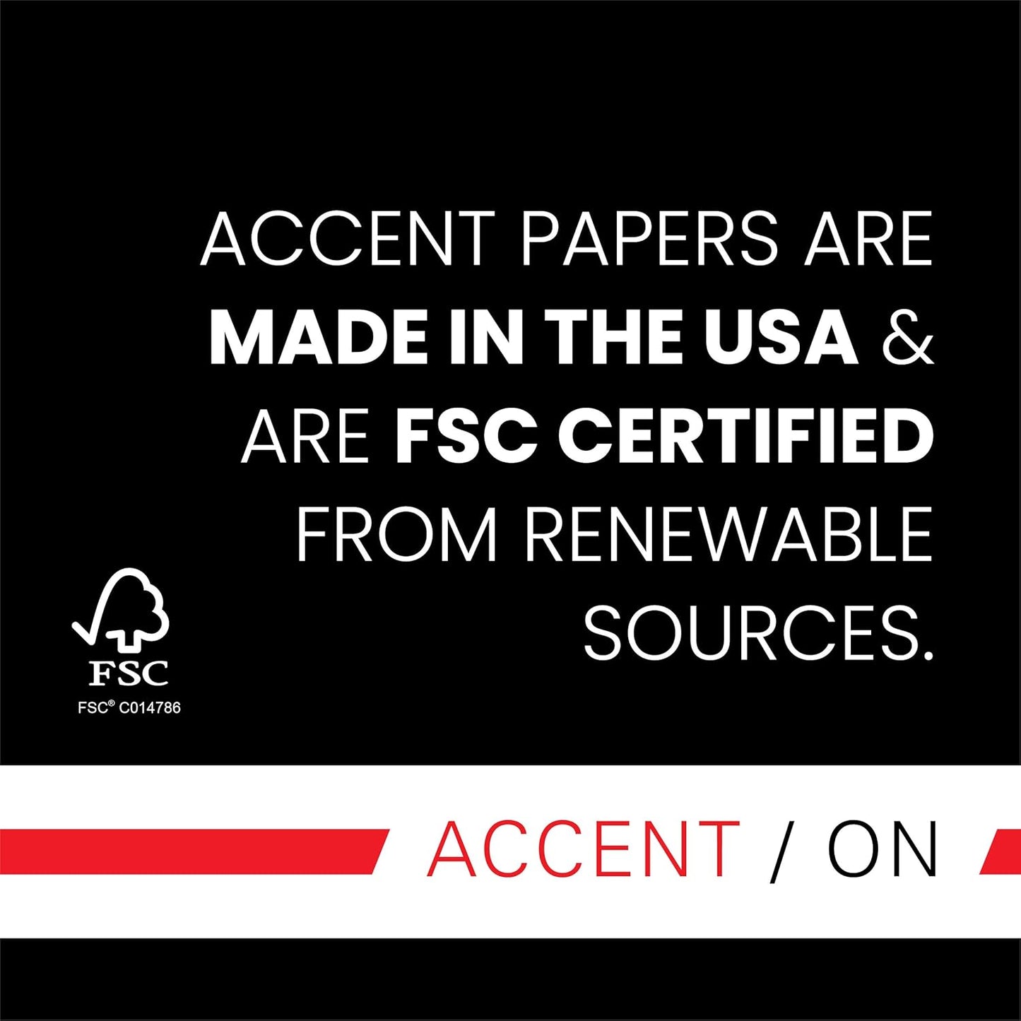 Accent Opaque White Printer Paper, 13” x 19” 32lb Bond/80lb Text Copy Paper – Premium Super Smooth Computer Paper, 97 Bright, 118gsm – Ideal for Ink Heavy Printing – 189035C – 1,500 Sheets (5 Ream)