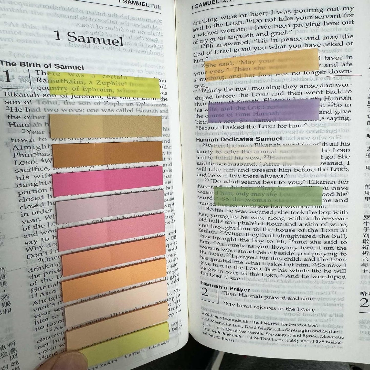 ELII 6000pcs Books Tabs for Annotating Page Tabs Morandi Sticky Index Tabs,Transparent Sticky Notes Tabs Label Stickers Index Tabs for Reading Notes, Classify File