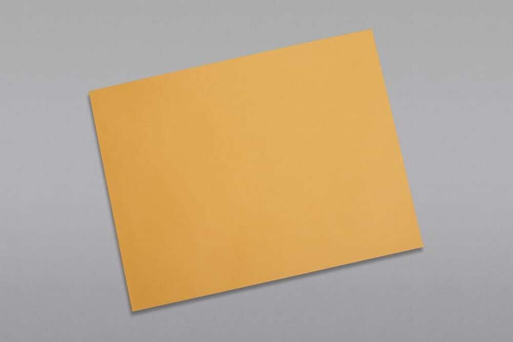 Limited Papers (TM) Booklet Envelopes, (Open Side) Brown Kraft, Gummed Seal, 28 Pound, Heavyweight, For Mailing And More. (250, 9 x 12)