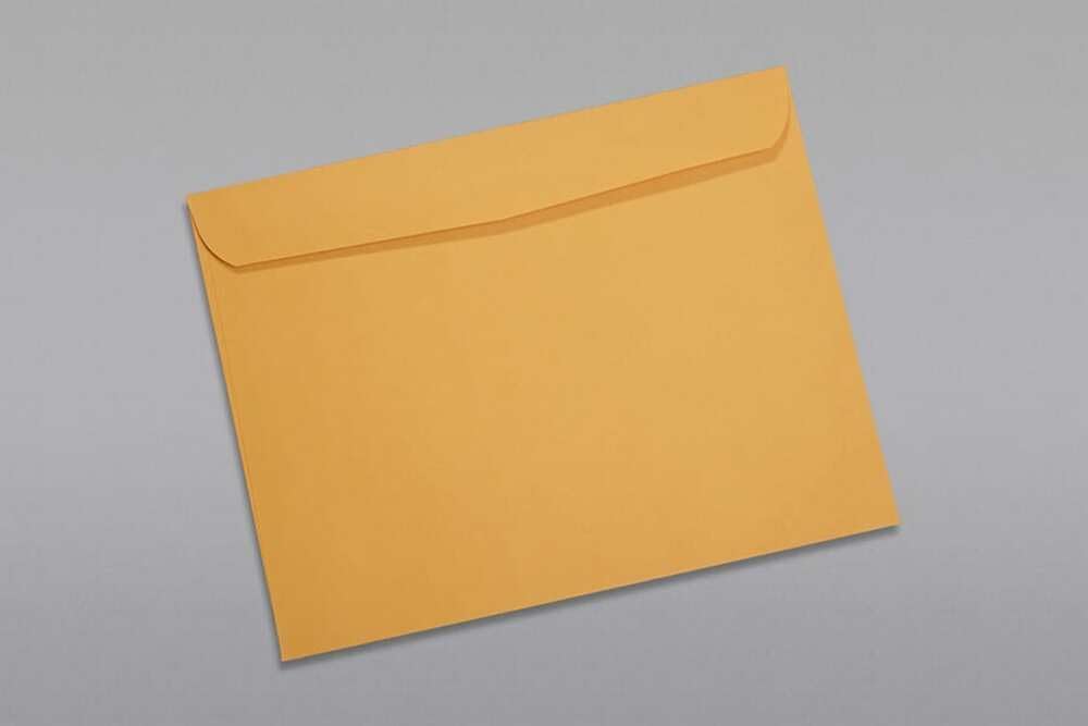 Limited Papers (TM) Booklet Envelopes, (Open Side) Brown Kraft, Gummed Seal, 28 Pound, Heavyweight, For Mailing And More. (1000, 10 x 15)