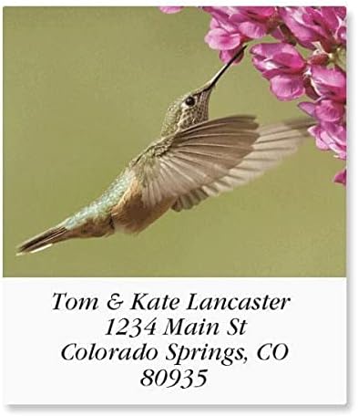 Colorful Images Birds of North America Return Address Mailing Labels, Personalize with Name & Addresses, Set of 144 Self Adhesive, Easy Peel Flat Label Sheets, 1 ½ x 1 ¾”, 24 Designs