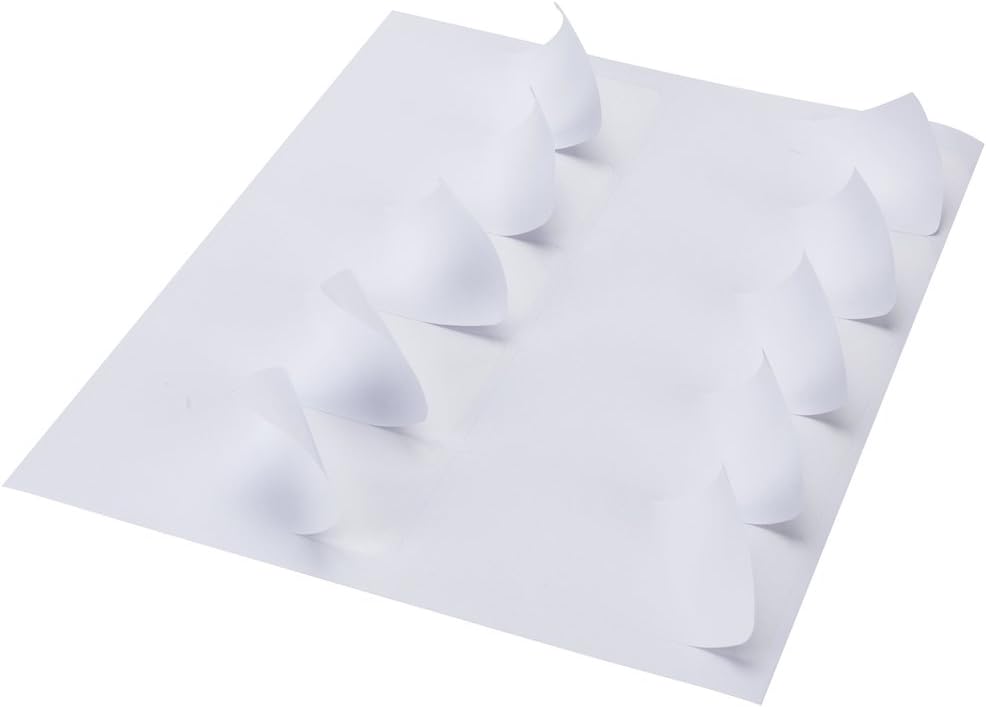 10 Up - Shipping Address Labels - 2" x 4" - 1000 Labels