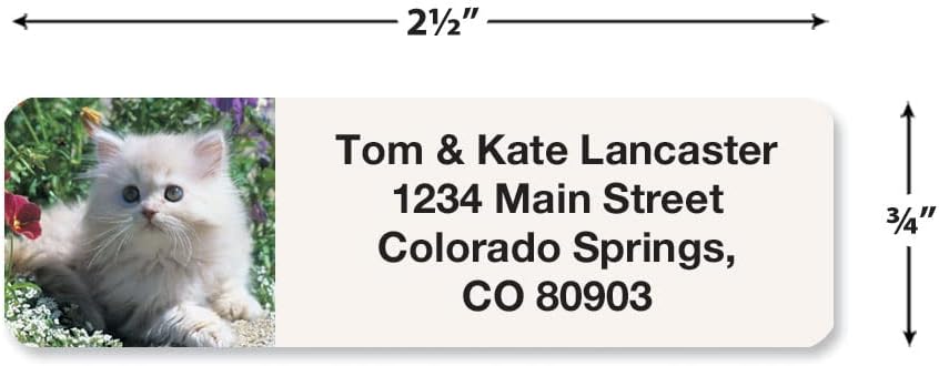 Cute Kittens Rolled Personalized Return Address Mailing Labels with Dispenser, Set of 250, 5 Designs, Small ¾ x 2½ Inch Size, Custom Self-Adhesive Sticker Roll, by Colorful Images