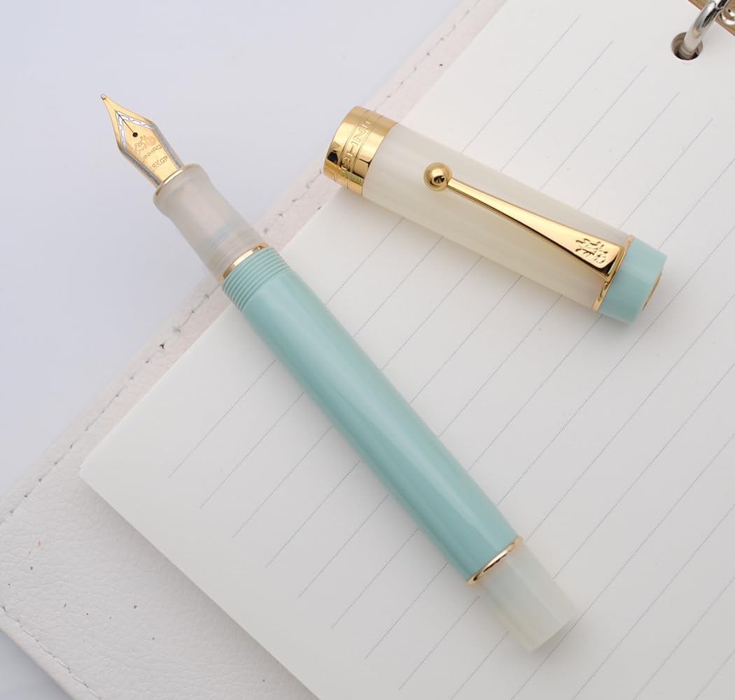 JINHAO 100 Fountain Pen with Ink Converter (Medium Nib 0.7mm, Light Green)