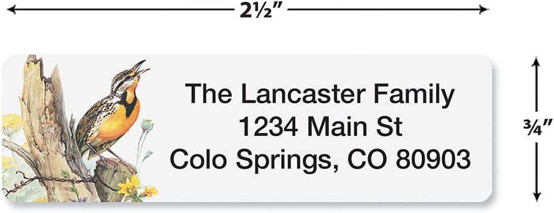 Meadow Birds Rolled Personalized Return Address Mailing Labels with Dispenser, Set of 250, 5 Designs, Small ¾ x 2½ Inch Size, Custom Self-Adhesive Sticker Roll, by Colorful Images