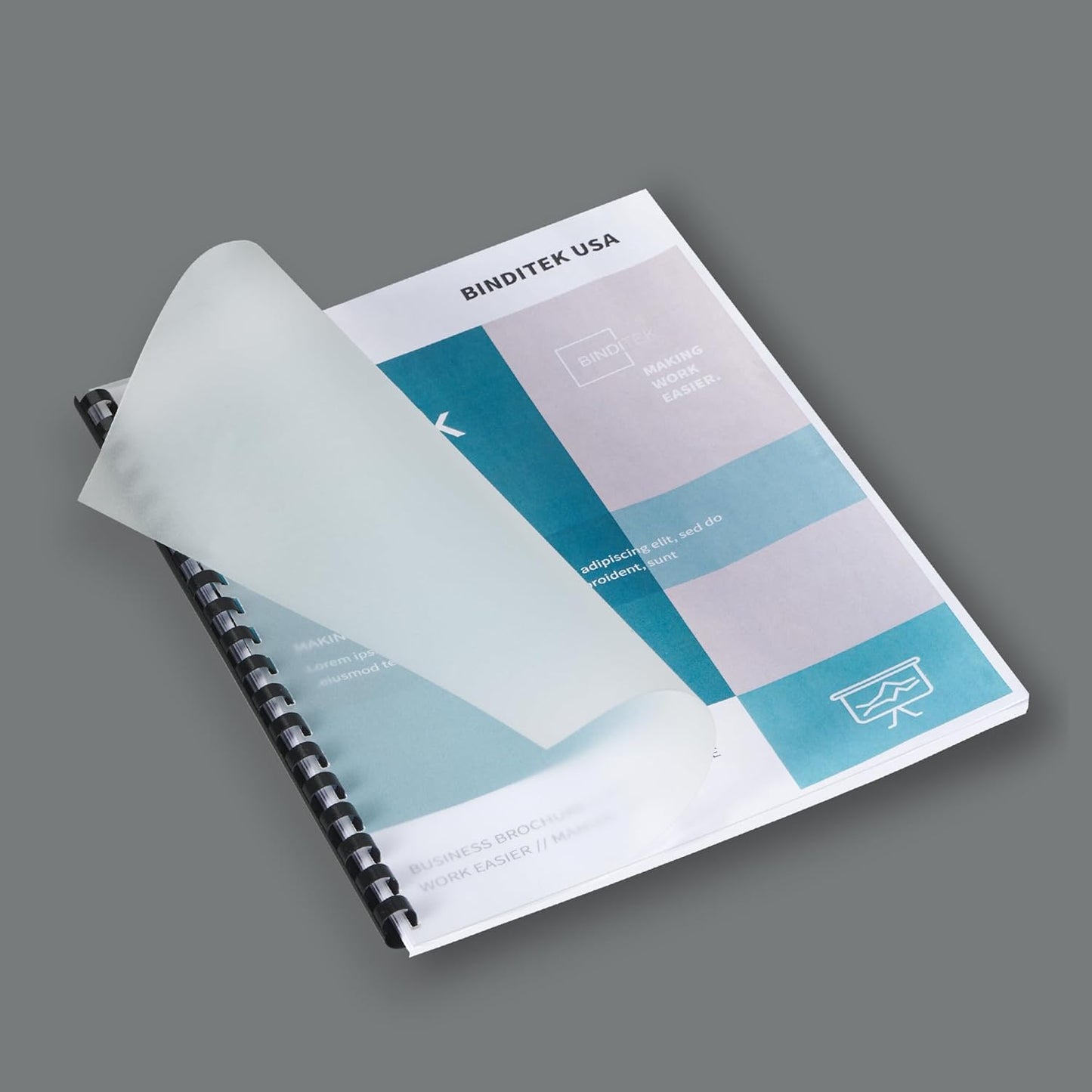 Binditek 50 Pack 15 Mil Frosted Polycovers, Semi-Transparent, 8-1/2 x 11 Inches, Lightly Textured Sand Finish, Square Corners, Unpunched Binding Covers, Office Supplies