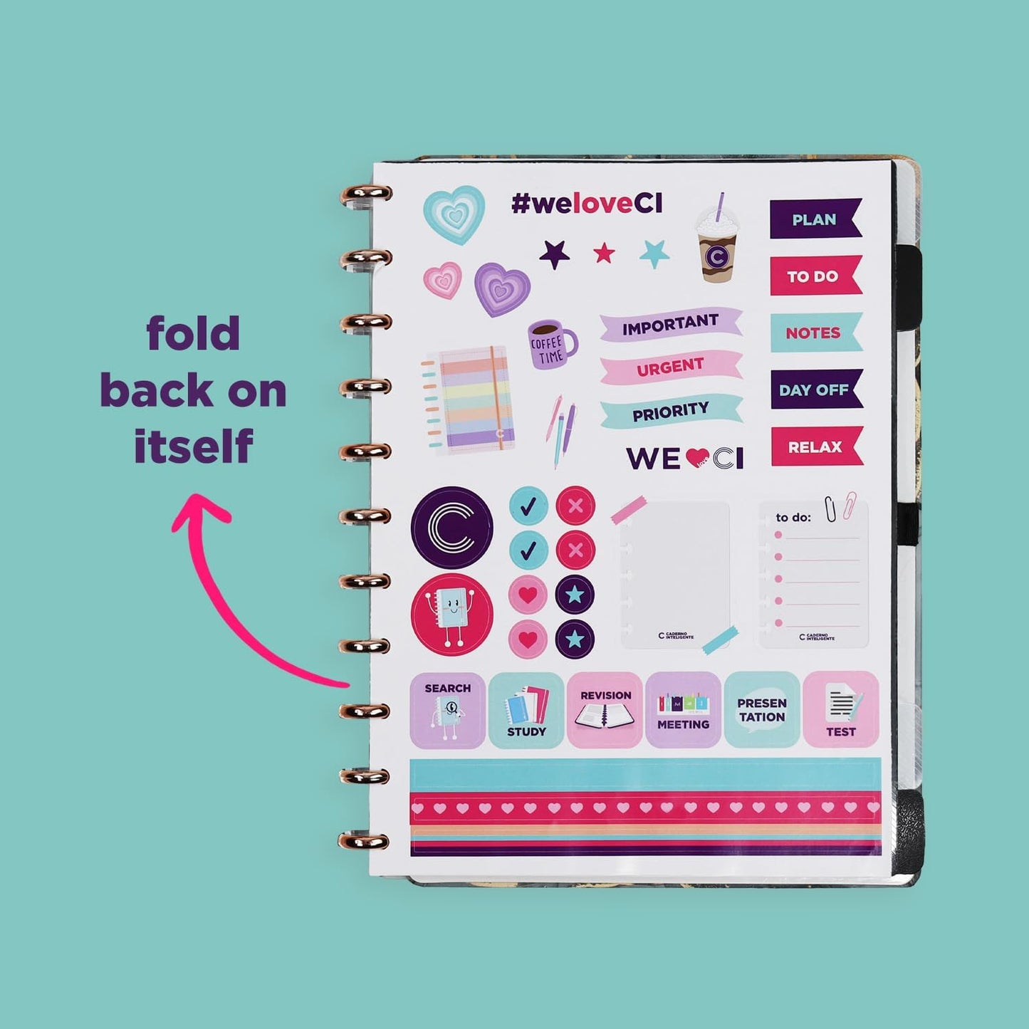 Discbound Premium - Plan, Organize, Customize, and Create with Ease. For Work Meetings, School, Journal, or Daily Use (BIANCO, LARGE 7.87 x 10.82 in)