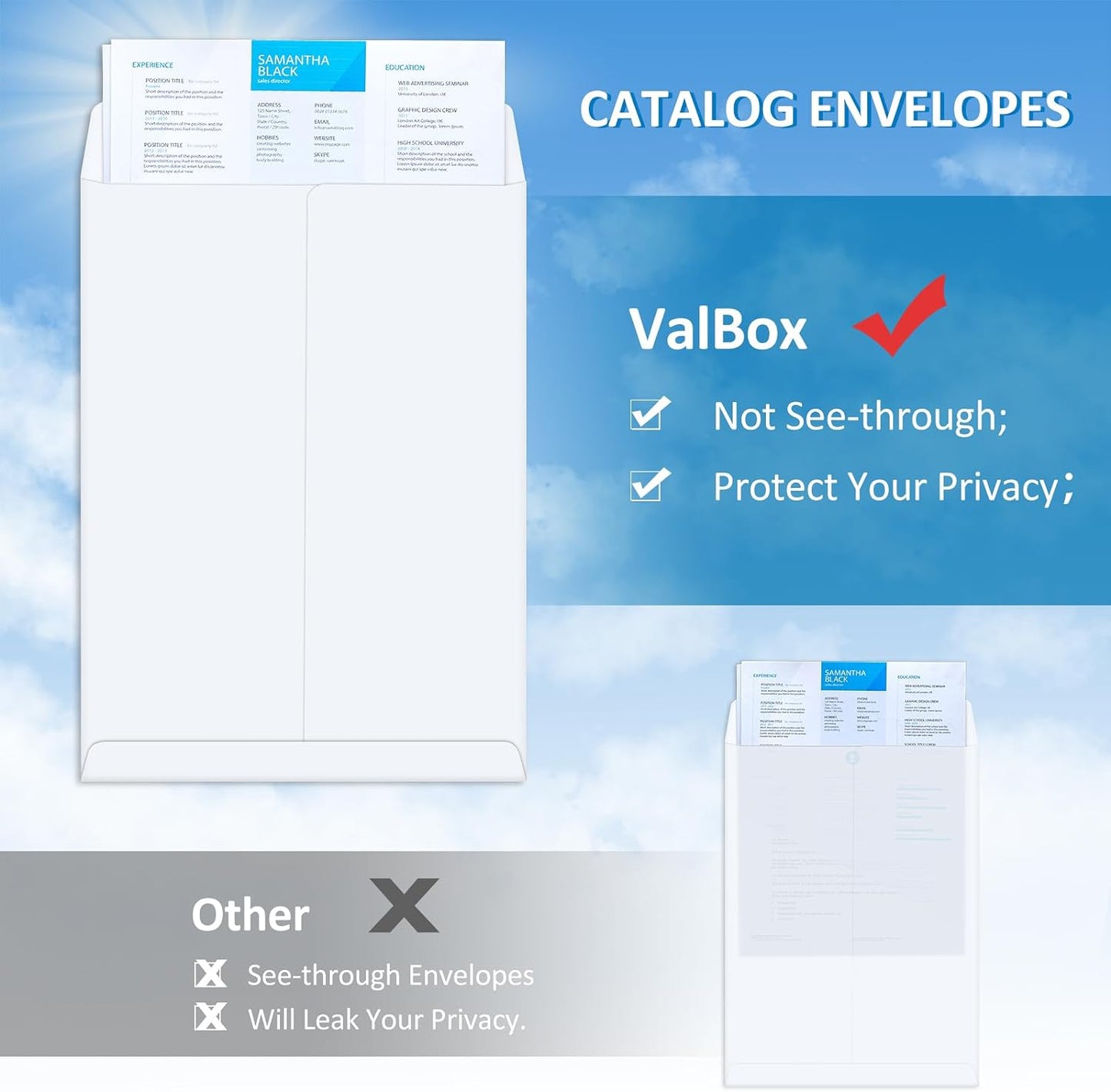 ValBox 6x9 Self Seal Security Catalog Envelopes 250 Count Small White Envelopes for Mailing, Storage and Organizing
