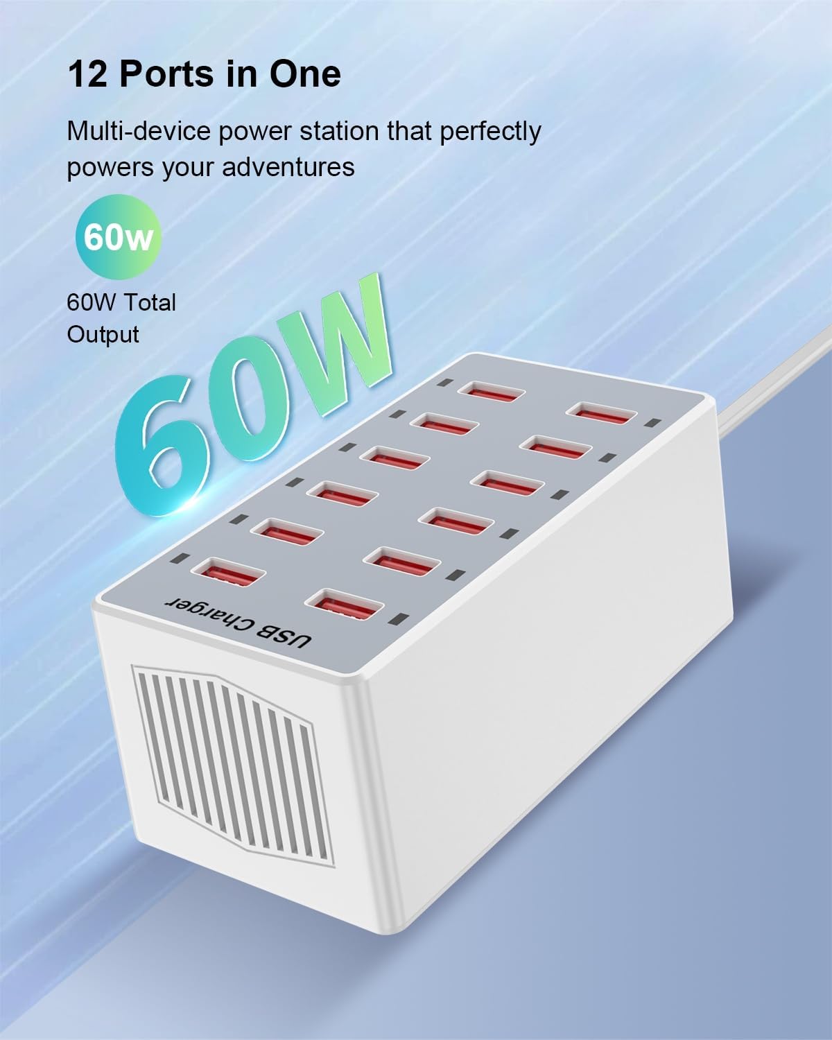 USB Charger 12-Ports Charging Station for Multiple Devices USB Wall Charger Power Hub Strip Smart Plug Charging Dock Block for iPhone Xs/XR,iPad,iPod,Galaxy S9/S8,Smart Phones 60W