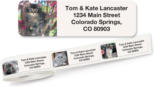 Cute Kittens Rolled Personalized Return Address Mailing Labels with Dispenser, Set of 250, 5 Designs, Small ¾ x 2½ Inch Size, Custom Self-Adhesive Sticker Roll, by Colorful Images