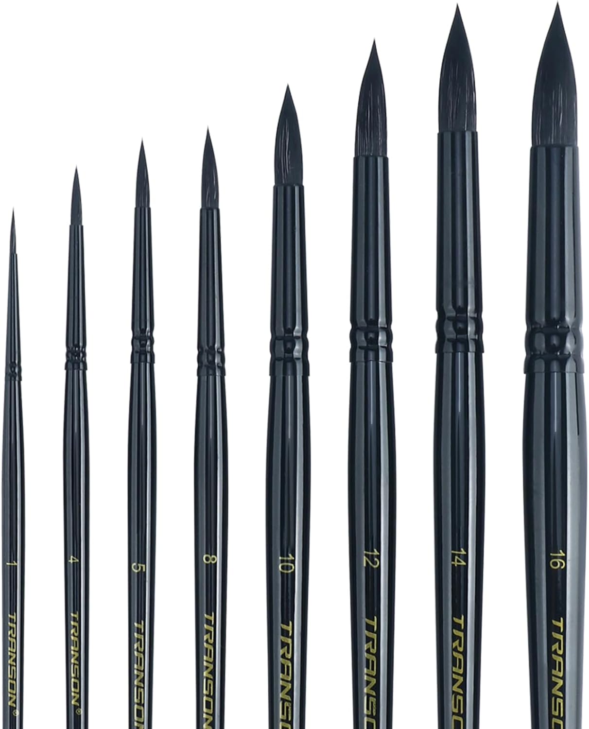 Transon 8pcs Round Watercolor Paint Brush Set Goat Hair for Watercolors,Acrylics,Inks,Gouache,Oil and Tempera Black Color