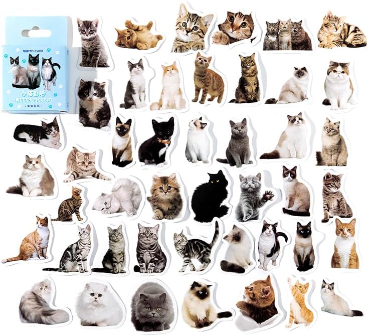 45 Pcs Small Cat Stickers for Scrapbook Kids Bullet Journal Notebook Planner Diary Collage Envelope Letter Laptop Water Case Bottle Phone DIY Craft Decoration