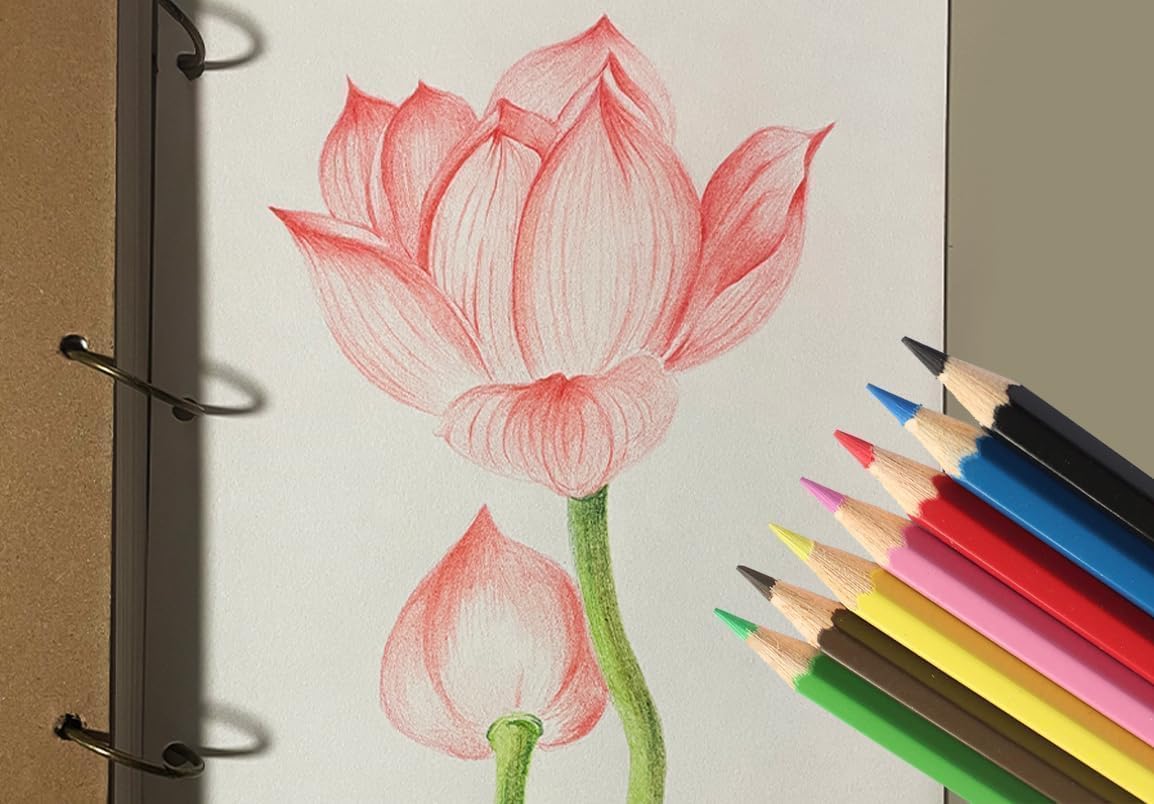 S & E TEACHER'S EDITION 144Pcs Colored Pencils, Pre-sharpened, coloring pencils for adults kids Bulk Back to School Supplies For Teachers 12 Colors, 12pcs/box, 12Boxes, Total: 144Pcs.