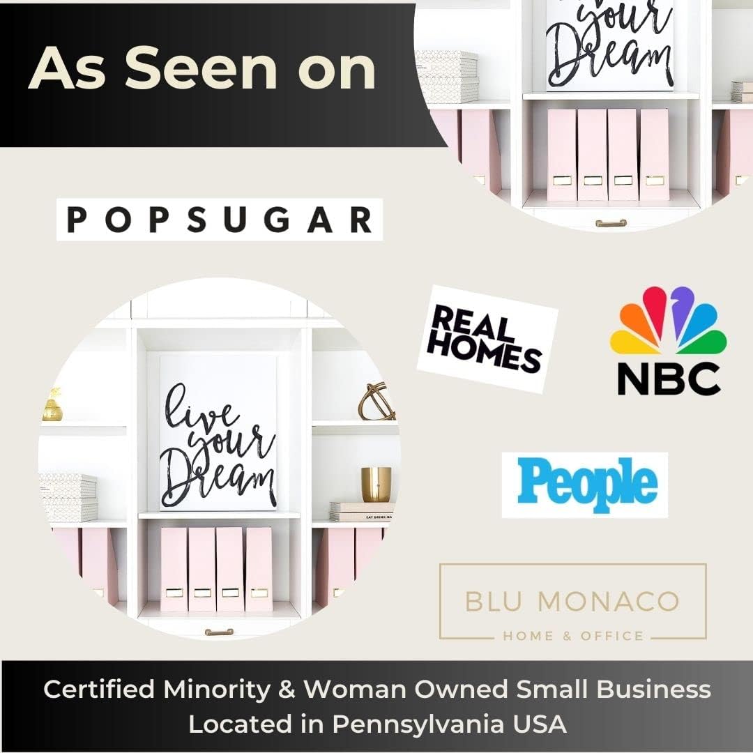 BLU MONACO Set of 6 Foldable Pink Magazine Holder with Gold Label Holders – Cute Stylish Magazine Storage for Shelves, and Closets – Book Bins, File Desk Organizer, and Document Storage