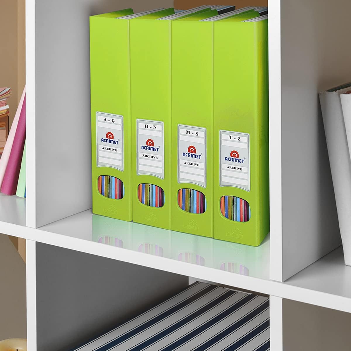 Acrimet Magazine File Holder, Durable Rack, Space-Saving Organizer (Plastic) (Green Citrus Color) (2 Pack)