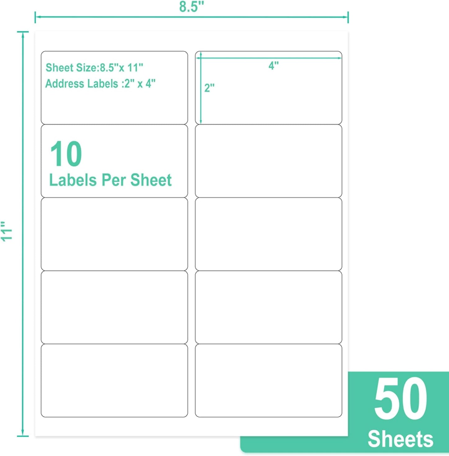 L LIKED 2" x 4" Label Stickers, Printable White 10 per Sheets Total 300 Labels, for Laser/Inkjet Printing - Matte (300 Labels)