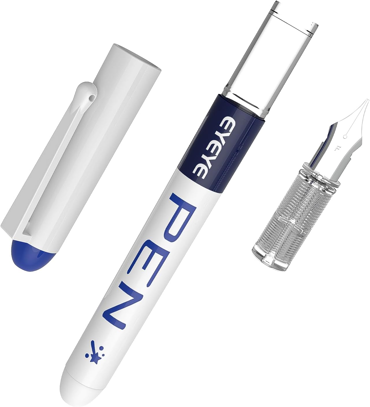 EYEYE Fountain Pens for Writing, 8 Pack Assorted Colors Fine Point Disposable Fountain Pens Stainless Steel Nib, Smooth Writing for Calligraphy, Journaling, Drafting, Sketching, Doodling & Gifts