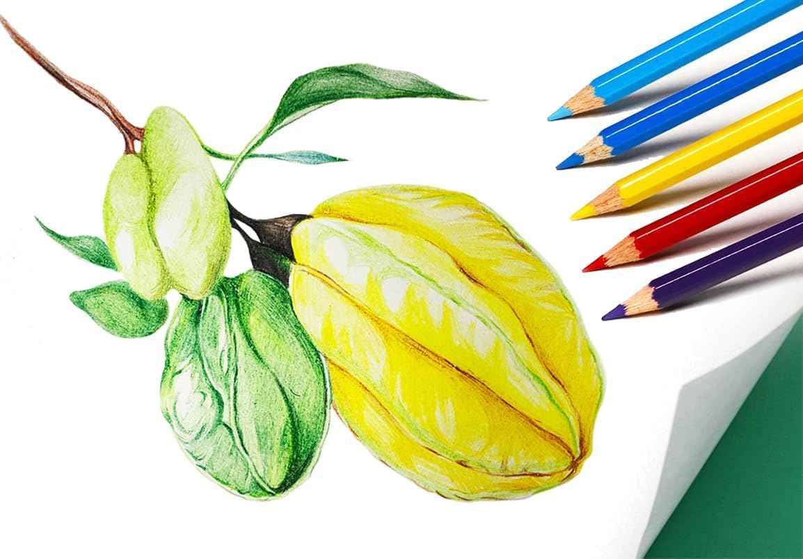 SKKSTATIONERY 288Pcs Colored Pencils, Coloring pencils Pre-sharpened, Back to school, 12 Colors, 12pcs/box, Total 288Pcs Color pencil set