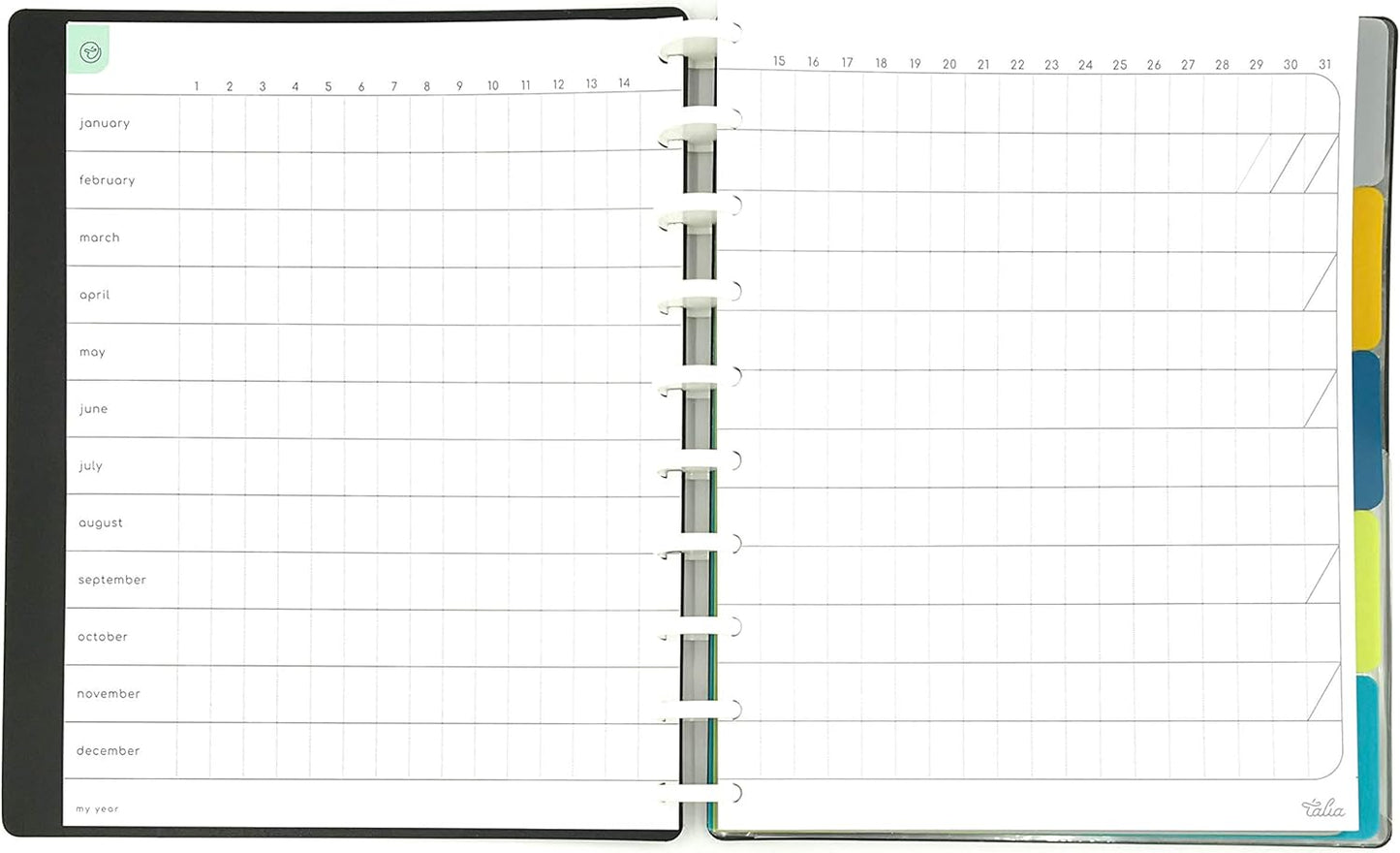 Talia Discbound Notebooks, Planner, Customizable, (Clear, Midsize (7.5in x 9.75in))