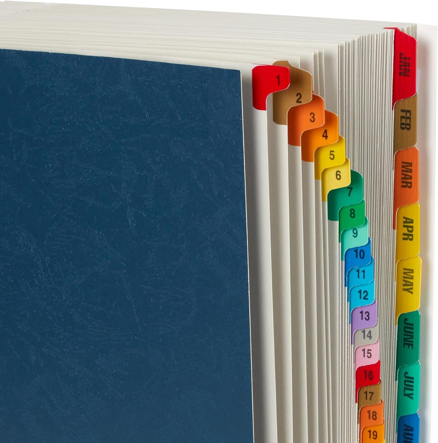 Blue Summit Expandable Monthly File Organizer, Ticker File Combo 31 Daily and 12 Monthly Tabs, Letter Size 12 Month Folder Organizer for Invoices and Documents