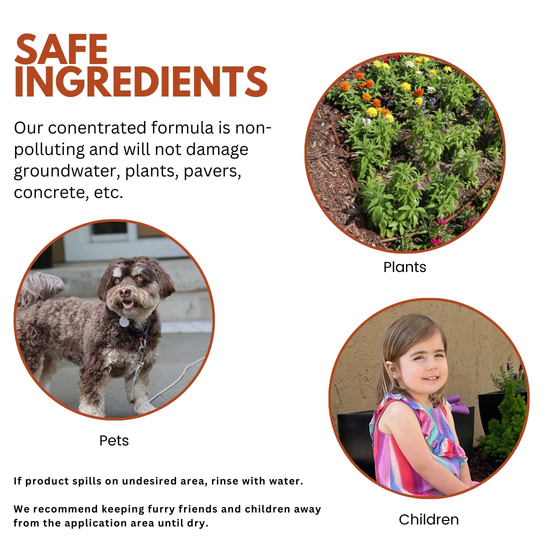 Mulch & Rock Bond Concentrated Formula - Binder for Mulch, Rock, Bark, & Pea Gravel, Strong Stabilizing Glue, Just Add Water, Makes 2 Gallons, Covers 500-1,500 sq. ft. (1 Gallon)