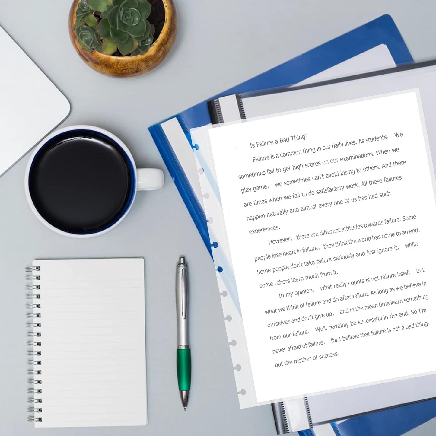 25 Piece Letter Size Sheet Protectors Clear Plastic Page Protectors for Discbound Holds Letter Size Discbound Binding Cover (25)