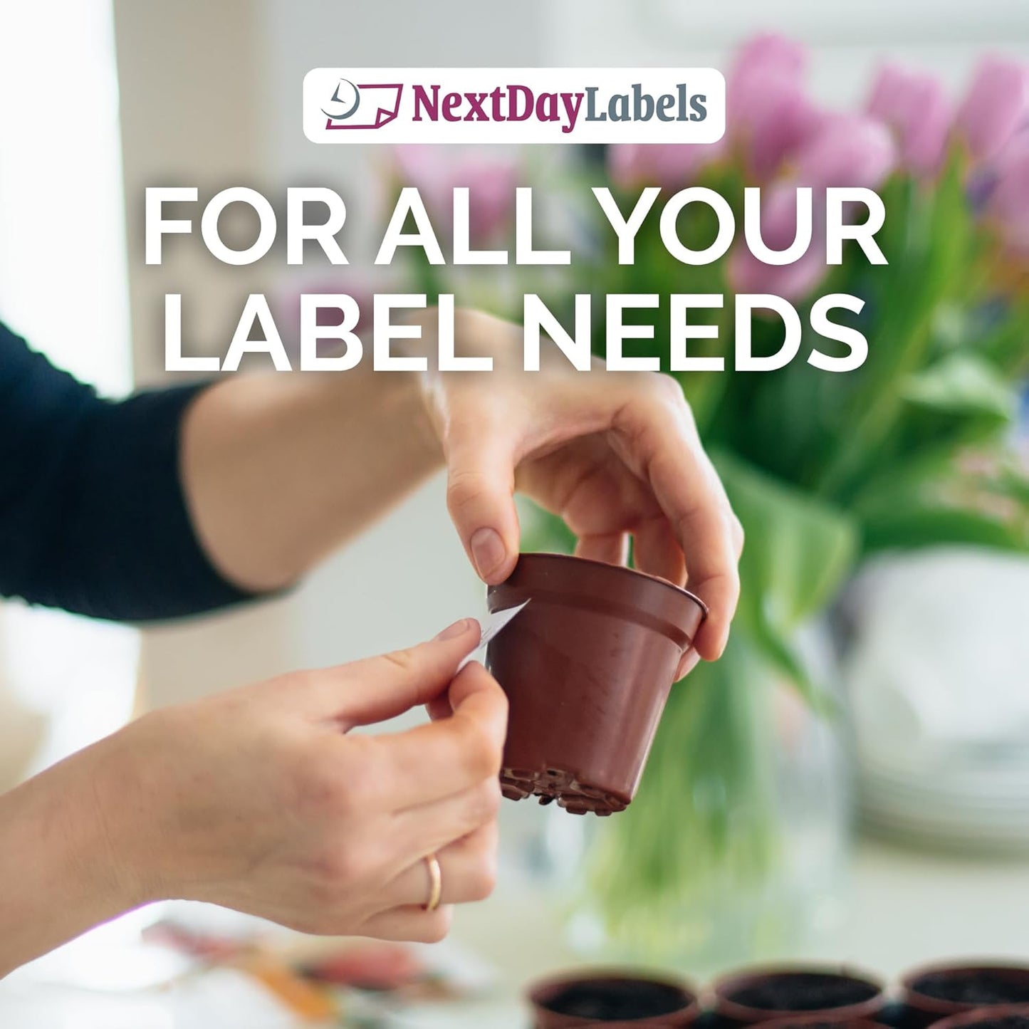 NextDayLabels – 2"-11/16 x 2 Rectangular Sticker Labels for Printer - White Laser/Inkjet Printer Labels Return Address Labels Shipping Label Stickers (50 Sheets, 15 Per Sheet, 750 Labels)