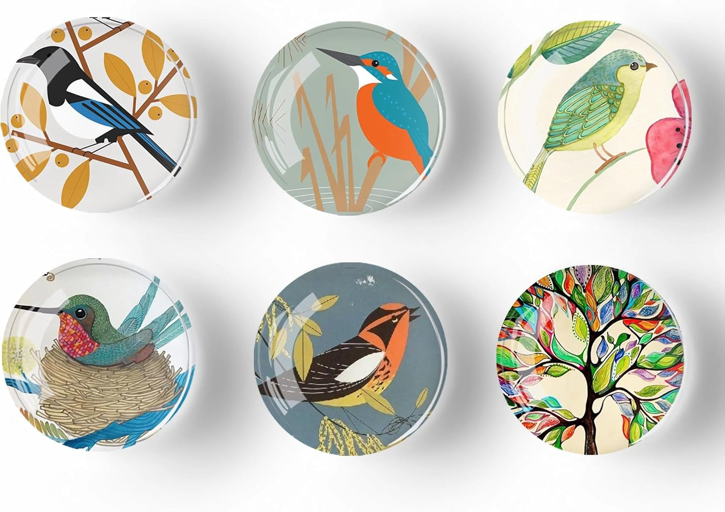 12Pcs Glass Refrigerator Magnet Fridge Sticker,Bird Fridge Magnets Decoration for Crafts,Strong Fridge Magnets for Kitchen, School,Office Whiteboard, Cabinet and Dishwasher