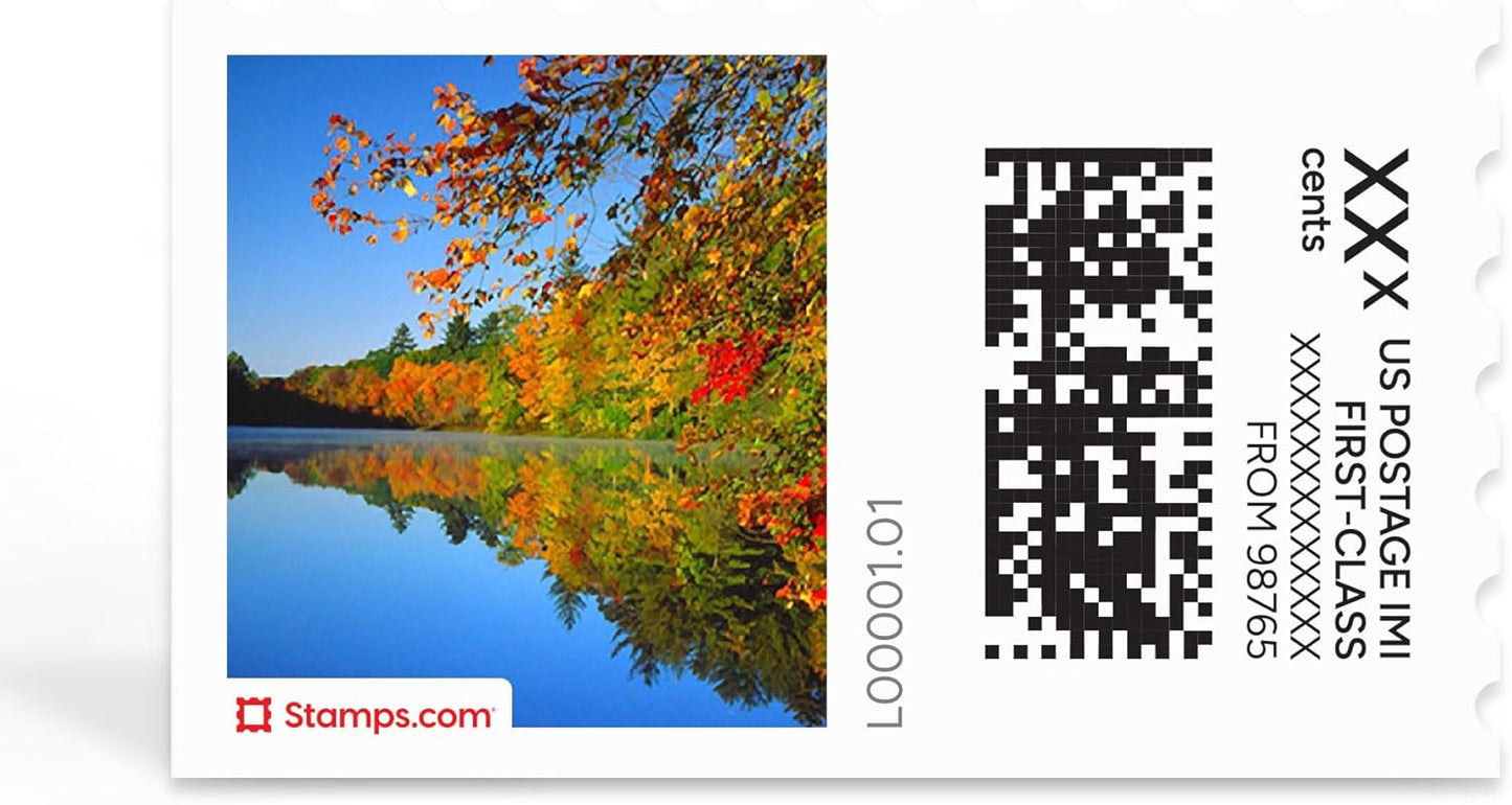 Fall River NetStamps 120-Pack (5 Sheets) Printable Postage Labels (Stamps.com Subscription Required) - Print Approved Postage - Inkjet & Laser Printers - Business, Personal, Home