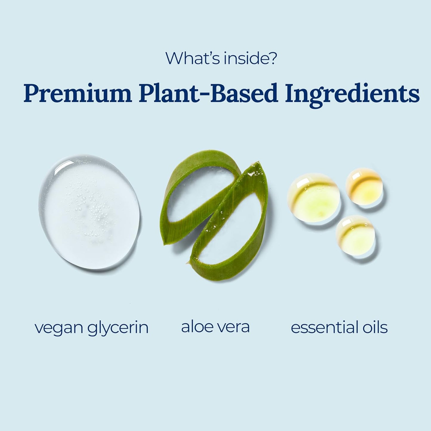 Tangerine Coriander Spray Hand Sanitizer | Travel Size | Hydrate & Cleanse | Made with Aloe Vera & Essential Oils | Green Tea Extract | Scented Travel Hand Sanitizer | Hand Sanitizer Spray | 6-Pack