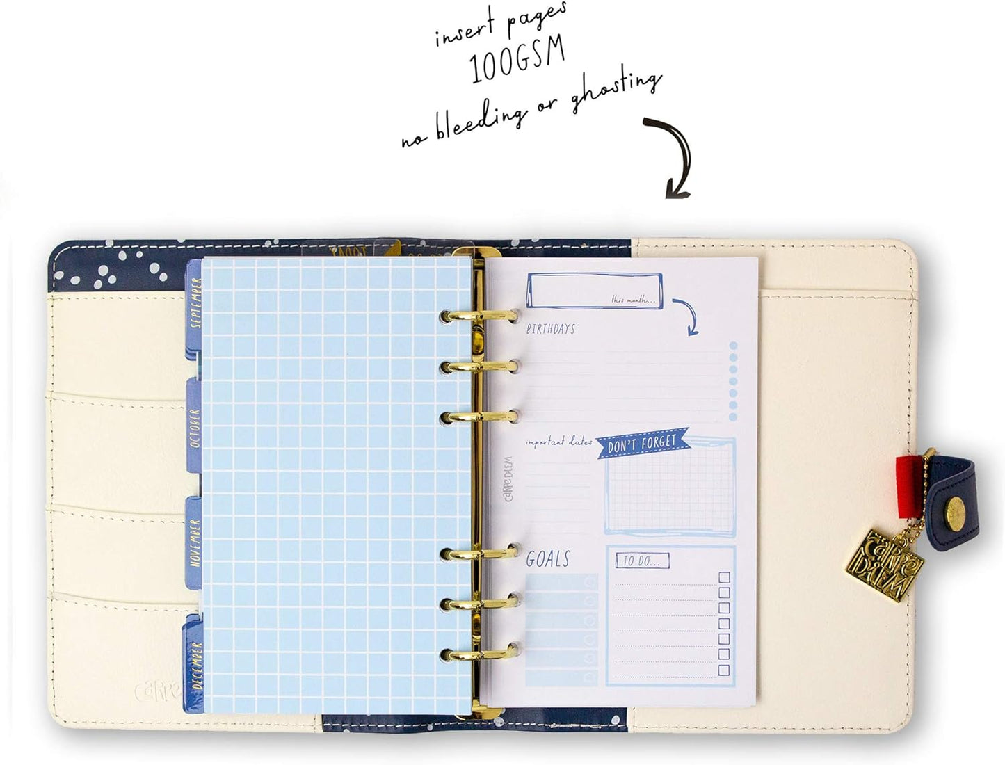 Pukka Pad, Carpe Diem Personal Planner - Soft Cover Binder with Weekly, Monthly Undated Inserts in Tabbed Sections, Interior Pockets and Sticker Sheets - 8 X 7.5 X 1.4 Inches, Colour Wash