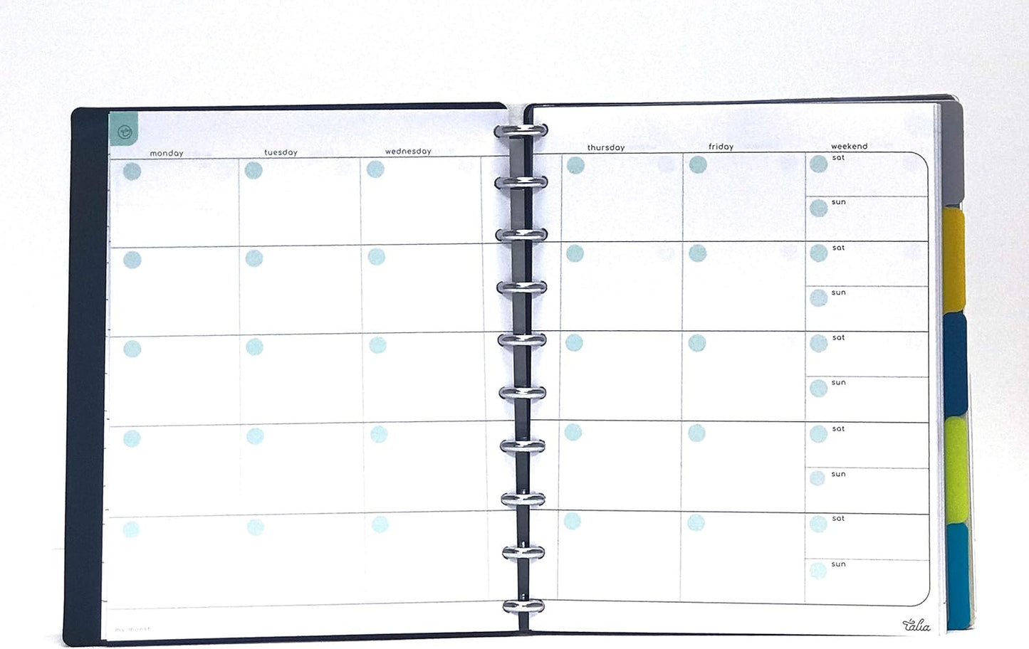 Talia Discbound Notebooks, Planner, Customizable, (yClear w/Silver Discs, Midsize (7.5in x 9.75in))