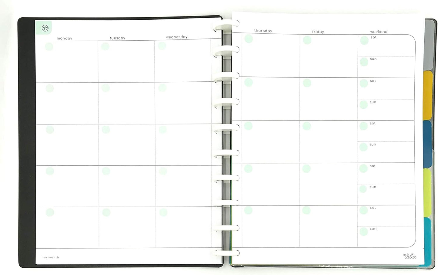 Talia Discbound Notebooks, Planner, Customizable, (xZiggity Zag w/deep Lake Blue Discs, Midsize (7.5in x 9.75in))