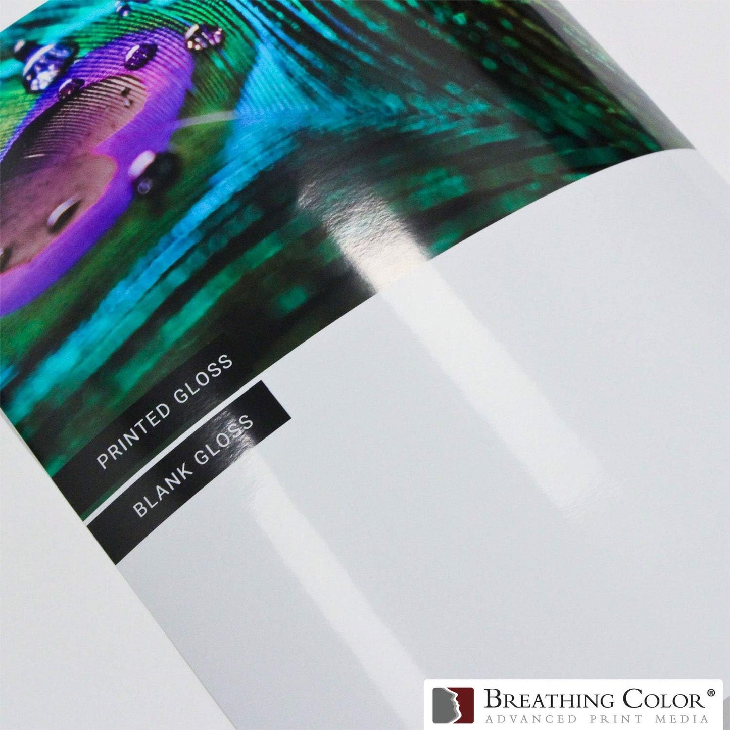 Vibrance Gloss Photo Printer Paper 10 mil 255 gsm Glossy Finish Premium Photo Paper Roll on 3inch Core 10 inches x 100 feet Works with Most Inkjet Printers Including Professional Makes and Models