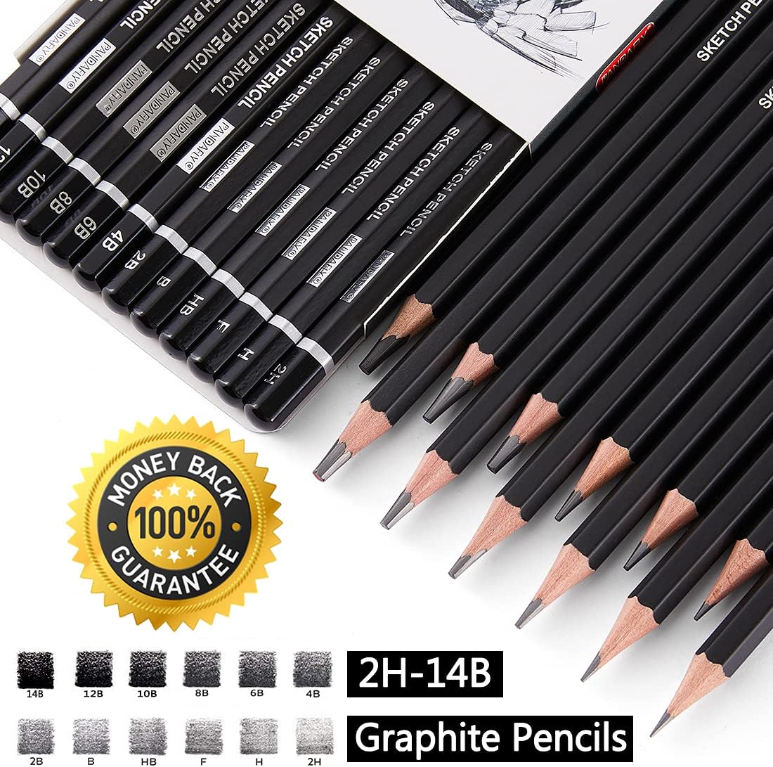 PANDAFLY Professional Drawing Sketching Pencil Set - 12 Pieces Graphite Pencils(14B - 2H), Ideal for Drawing Art, Sketching, Shading, Artist Pencils for Beginners & Pro Artists