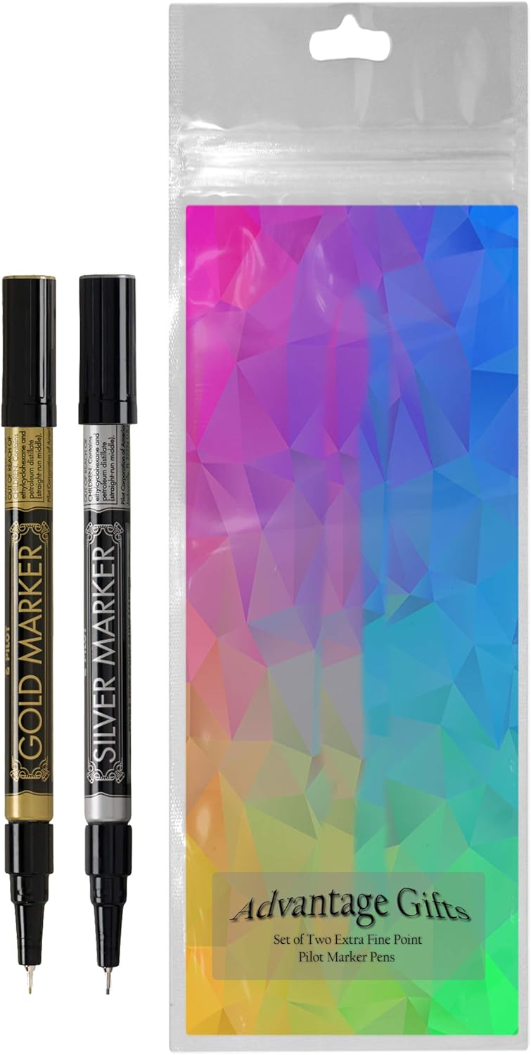 Metallic Permanent Paint Markers, Gold And Silver, Extra Fine Point (0.5mm), 2 Count, Bundle with Plastic Reusable Pouch