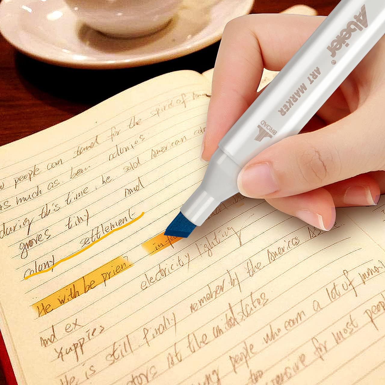 ABEIER 81 Colors Alcohol Markers - Brush & Chisel Dual Tip Sketch Markers, Plus 1 Blender, Permanent for Kids & Adults Coloring & Illustration