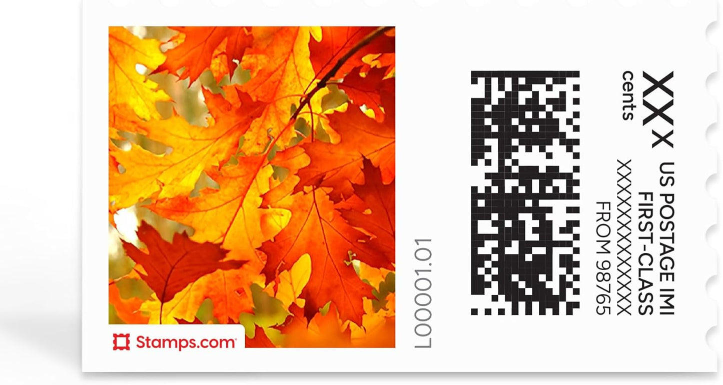 Turning Leaves NetStamps 120-Pack (5 Sheets) Printable Postage Labels (Stamps.com Subscription Required) - Print Approved Postage - Inkjet & Laser Printers - Business, Personal, Home