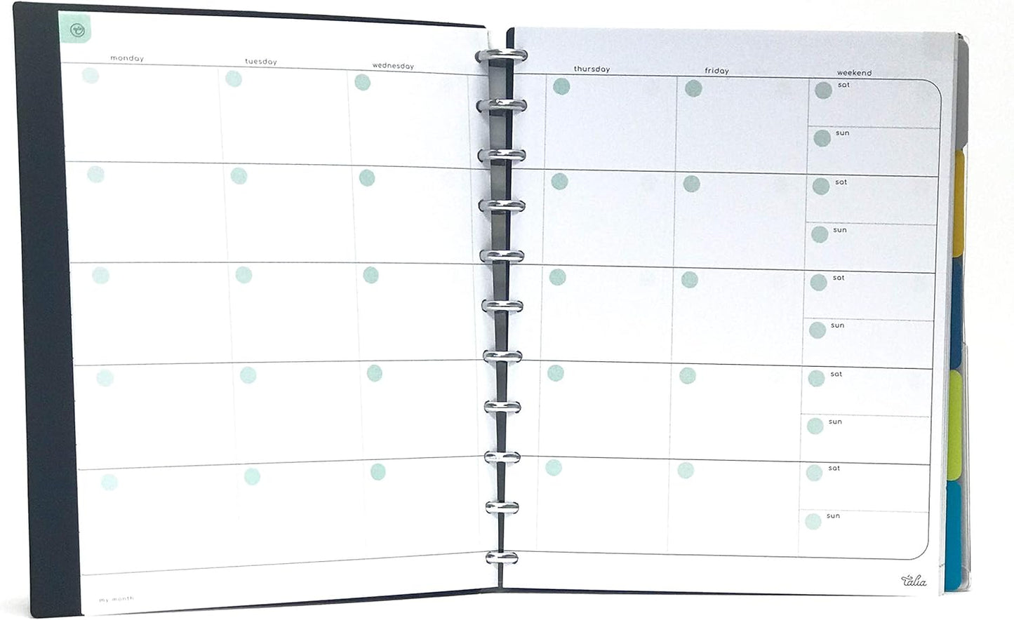 Talia Discbound Notebooks, Planner, Customizable, (yClear w/Silver Discs, Letter (8.5in x 11in))