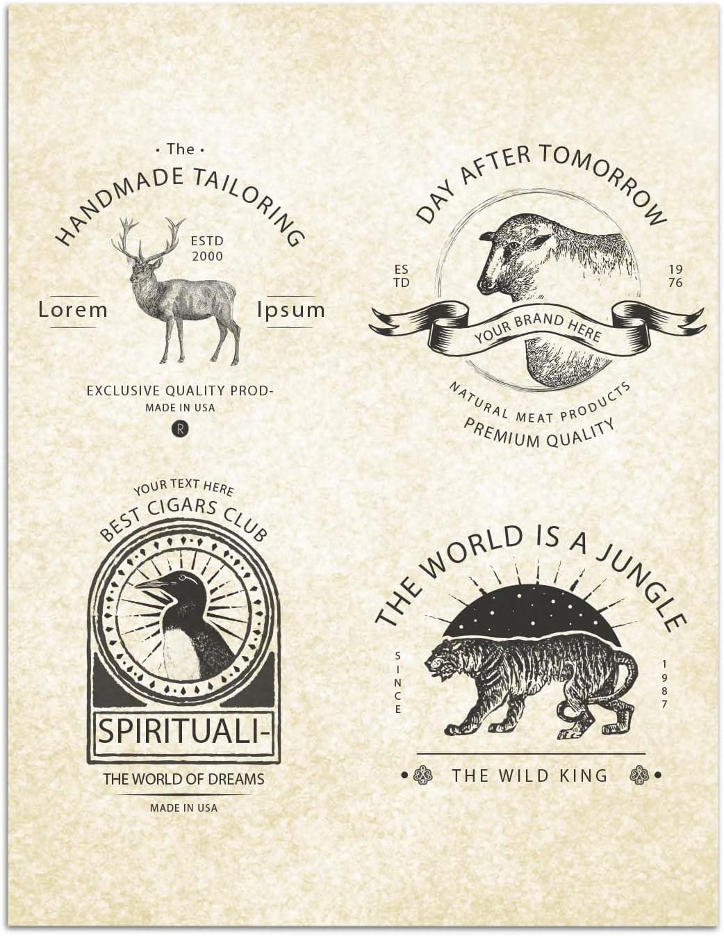 Parchment Paper for Certificates - Stationary for Resumes, Diplomas, Letter Size, 50 Double-Sided Sheets, 100gsm, 8.5" x 11" Parchment Paper