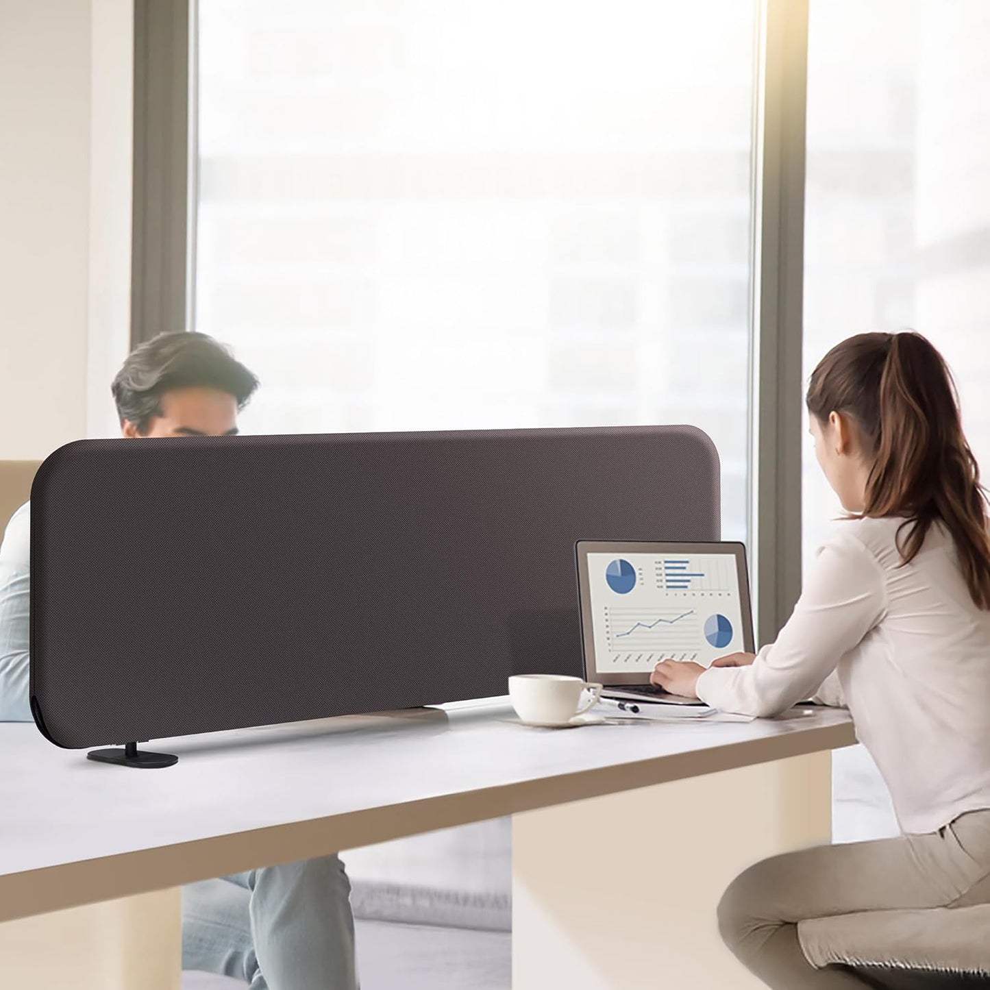 DECOLAB Desk Divider, Portable Desktop Privacy Panels Partition for Study, Home Office, Workplace, Students, Free Standing, Anti-Scratch, 48"x18", Iron