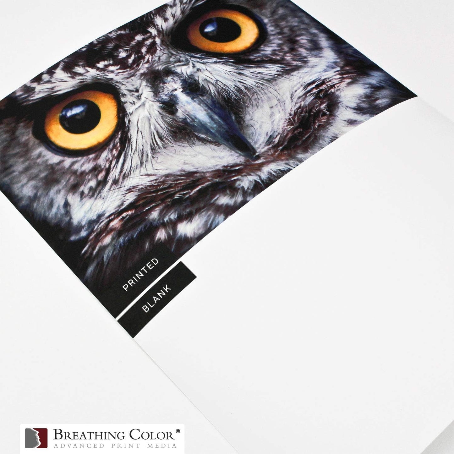 Vibrance Matte Photo Printer Paper 12 mil 230 gsm Matte Finish Premium Photo Paper Roll on 3in Core 36 inches x 100 ft Works with Most Inkjet Printer Professional Makes and Models Like Epson Canon HP