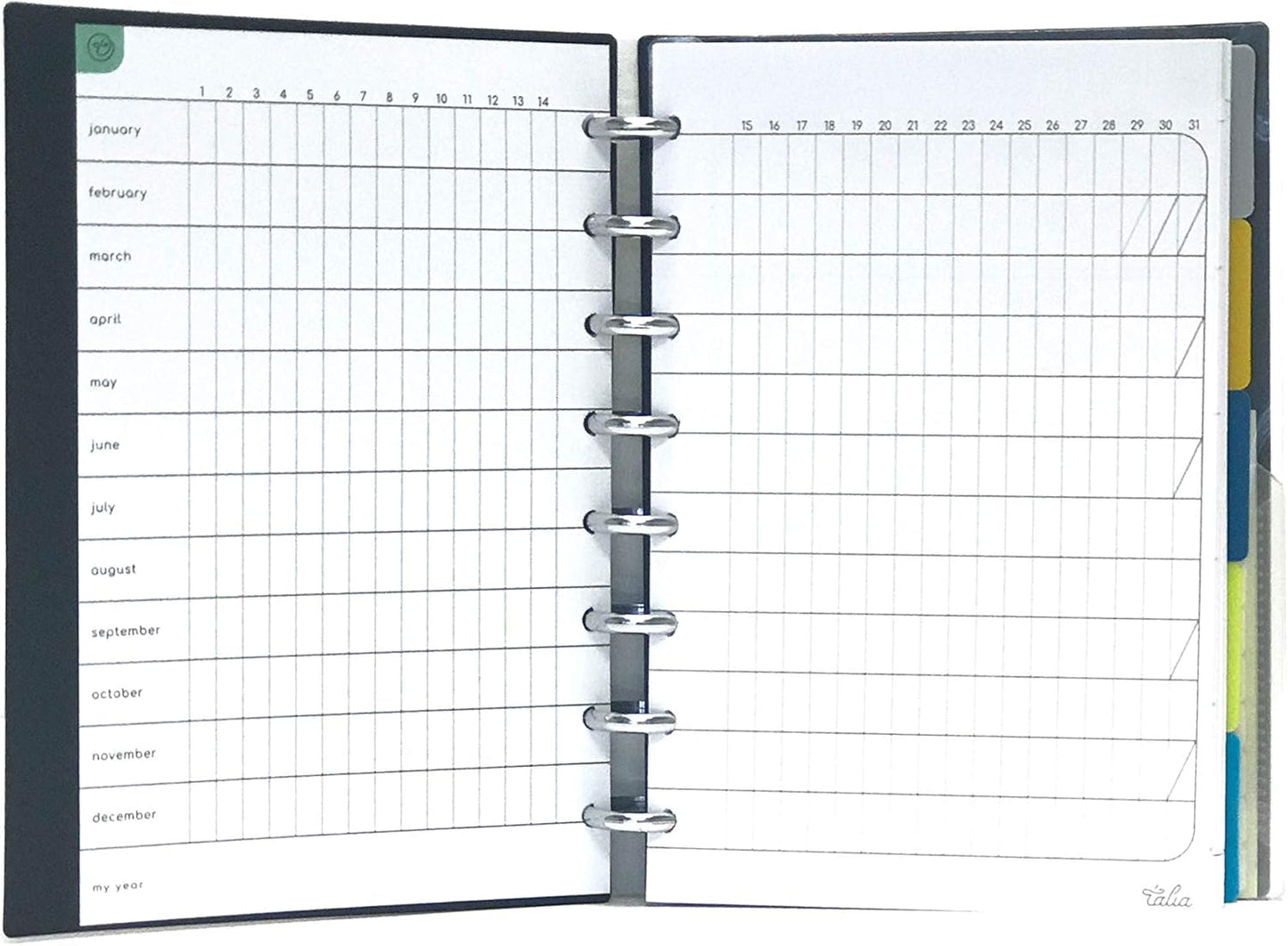 Talia Discbound Notebooks, Planner, Customizable, (yClear w/Silver Discs, Junior (5.5in x 8.5in))