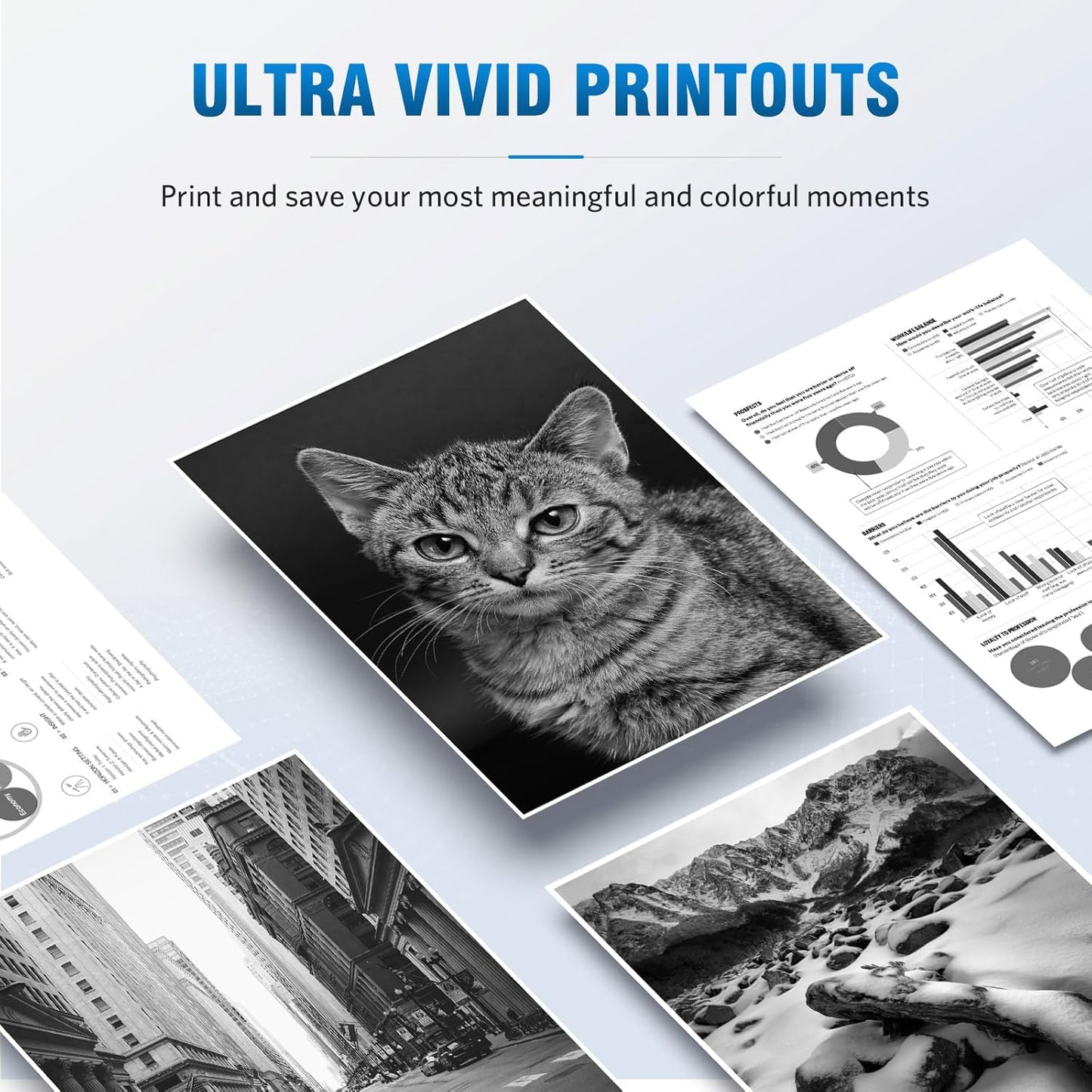 210X Black High-Yield Toner Cartridge Compatible Replacement for HP 210X 210A W2100X W2100A Works for HP Color Pro 4201 MFP 4301 Series MFP 4301dw 4301fdn 4301fdw 4201dw 4201dn Printer 2-Pack Black